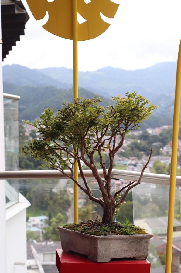 Apartahotel Millennials, Moderno Y Acogedor En El Sector Del Cable Y Cerca Al Estadio Manizales Luaran gambar